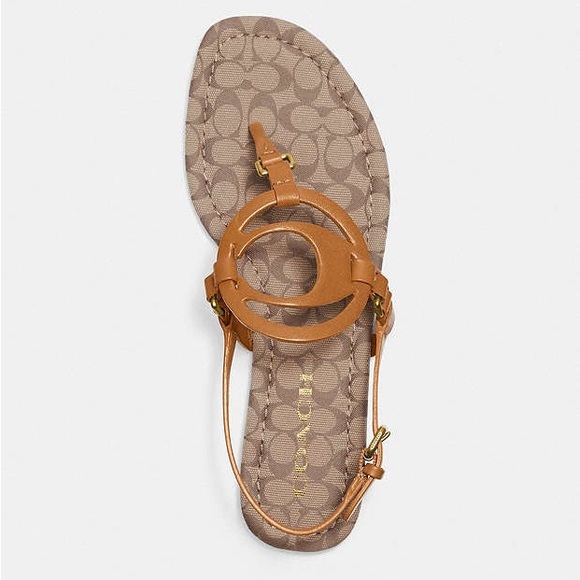 Coach Jeri Leather Sandals - Picture 6 of 12